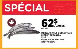 Kim Phat FRESH WHOLE WHITINGS offer