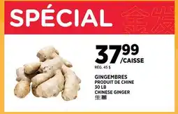 Kim Phat CHINESE GINGER offer