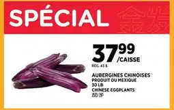 Kim Phat CHINESE EGGPLANTS offer