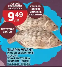 Kim Phat WHOLE LIVE TILAPIA offer