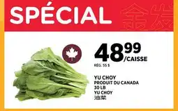Kim Phat YU CHOY offer
