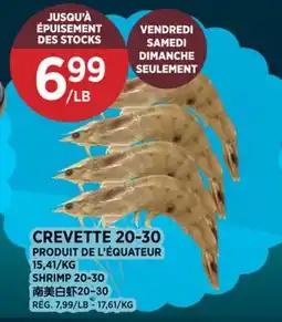 Kim Phat SHRIMP 20-30 offer
