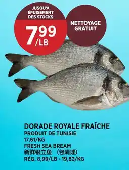 Kim Phat FRESH SEA BREAM offer