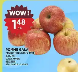 Kim Phat GALA APPLE offer