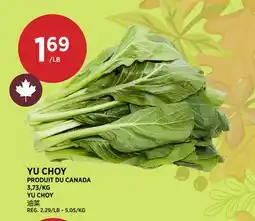 Kim Phat YU CHOY offer
