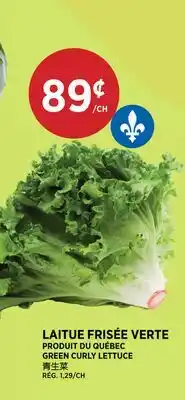 Kim Phat GREEN CURLY LETTUCE offer
