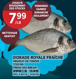 Kim Phat FRESH SEA BREAM offer