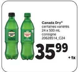 Wholesale Club CANADA DRY offer