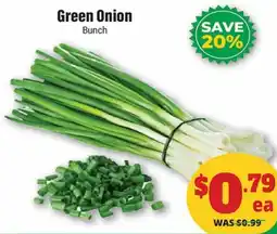 Iqbal Foods Green Onion Bunch offer
