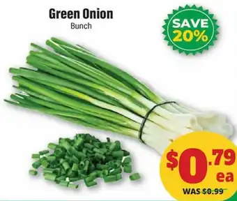 Green Onion Bunch