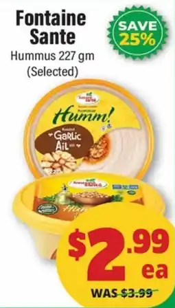 Iqbal Foods Fontaine Sante Hummus offer