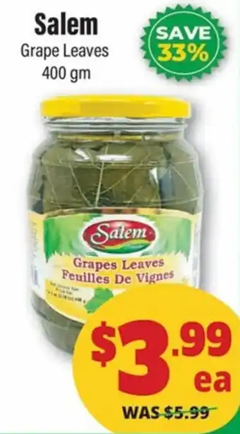 Salem grape leaves