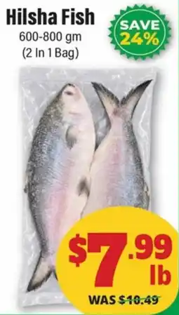 Iqbal Foods Hilsha Fish offer