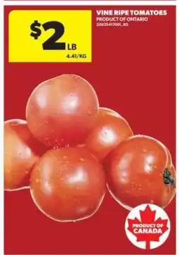 Real Canadian Superstore VINE RIPE TOMATOES offer