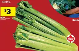 Real Canadian Superstore CELERY offer