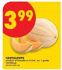 No Frills CANTALOUPE offer