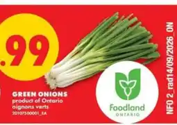 No Frills Green Onions offer