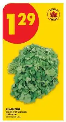 No Frills CILANTRO offer