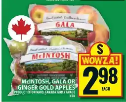 Food Basics McIntosh, Gala or Ginger Gold Apples offer