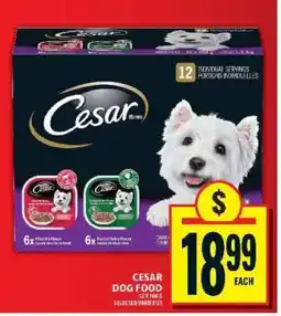 Food Basics CESAR DOG FOOD offer
