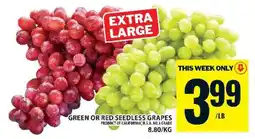 Food Basics GREEN or RED SEEDLESS GRAPES offer