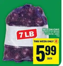 Food Basics RED ONIONS offer