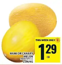 Food Basics Hami or Canary Melon offer