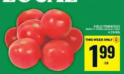 Food Basics FIELD TOMATOES offer