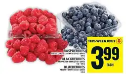 Food Basics Raspberries, Blackberries, Blueberries offer