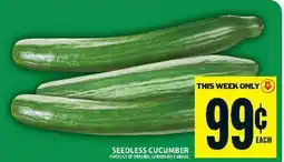 Food Basics Seedless Cucumber offer