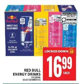 Food Basics RED BULL ENERGY DRINKS offer