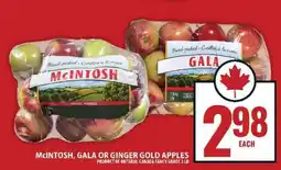 Food Basics McIntosh, Gala or Ginger Gold Apples offer