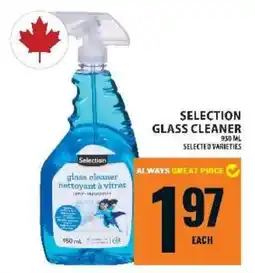 Food Basics SELECTION GLASS CLEANER offer