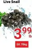 Nations Fresh Foods Live Snail offer