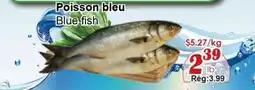 Marche C&T Blue fish offer