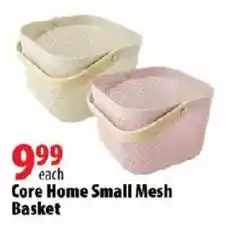 London Drugs Core Home Small Mesh Basket offer