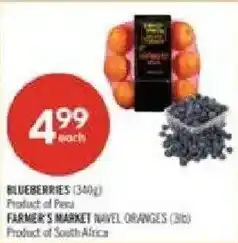 Shoppers Drug Mart Blueberries offer