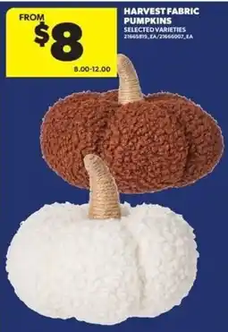 Real Canadian Superstore Harvest Fabric Pumpkins offer