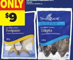 Real Canadian Superstore Seaquest tilapia offer