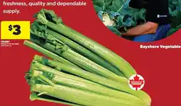 Real Canadian Superstore Celery offer