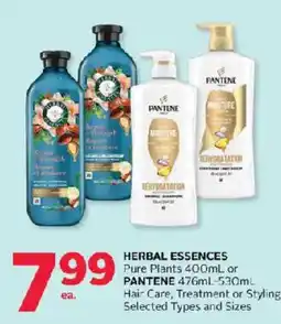 Rexall Herbal Essences Pure Plants or Pantene Hair Care offer
