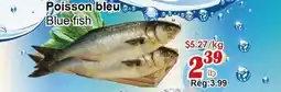 Marche C&T Blue fish offer