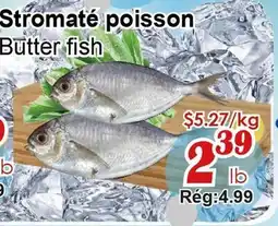 Marche C&T Stromaté poisson offer