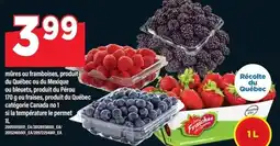 Maxi Les Fraiches du Québec offer