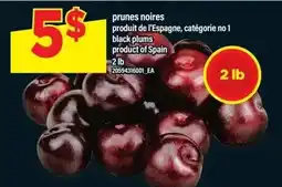Maxi black plums offer