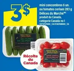 Maxi Delices du Marche mini concombres offer