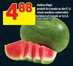 Maxi melon d'eau offer