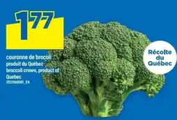 Maxi broccoli crown offer