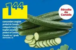Maxi English cucumber offer