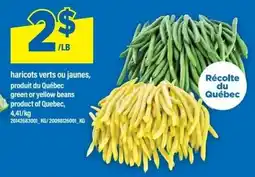 Maxi green or yellow beans offer